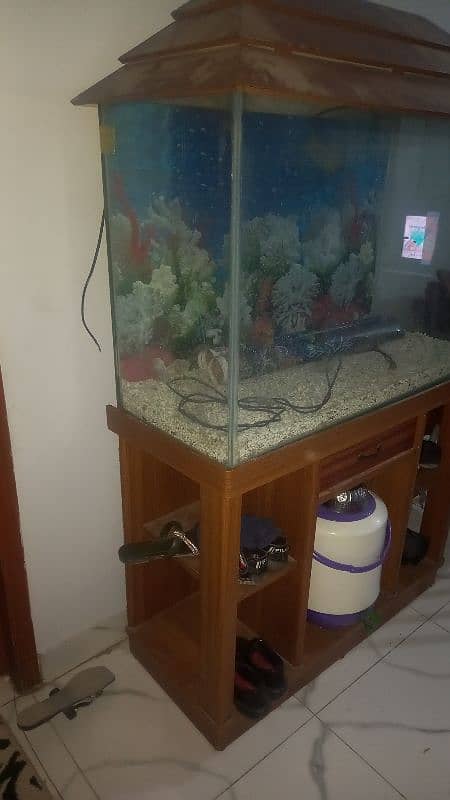 Aquarium For Sale 3