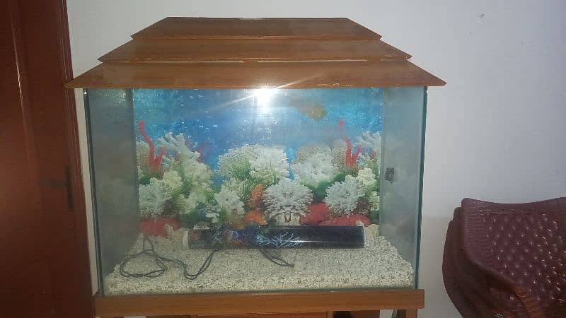 Aquarium For Sale 4