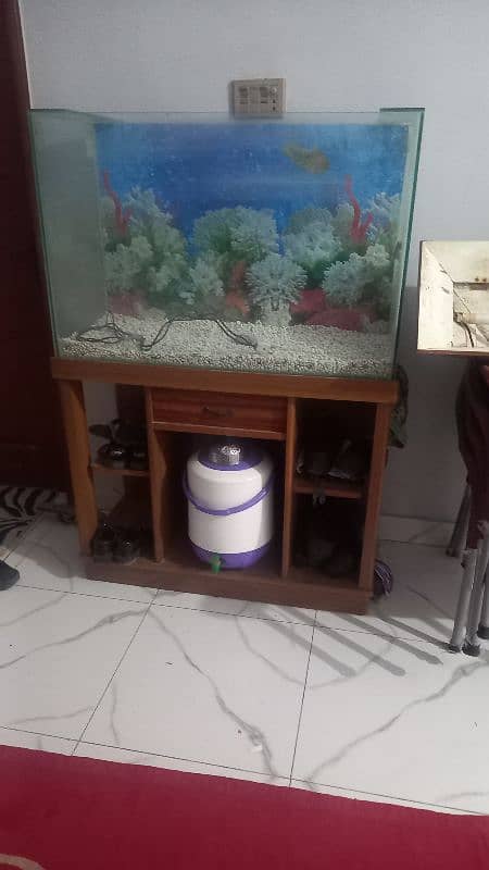 Aquarium For Sale 5