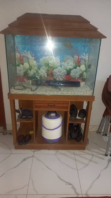 Aquarium For Sale 6