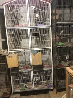 bird cage for sale