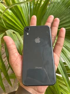 iPhone XR Non pta ( waterpack)