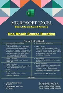 MS Excel Basic to Advance Course (Tuition)