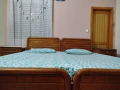 Single bed set with Molty foam mattress