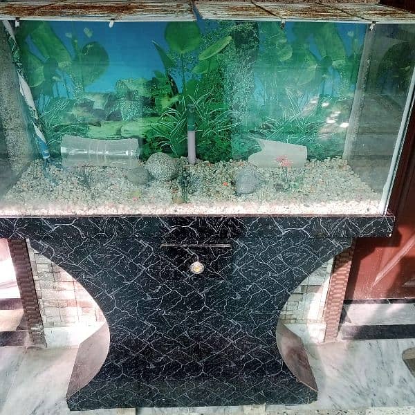 Fish Aquarium for Sale / Fish House 2