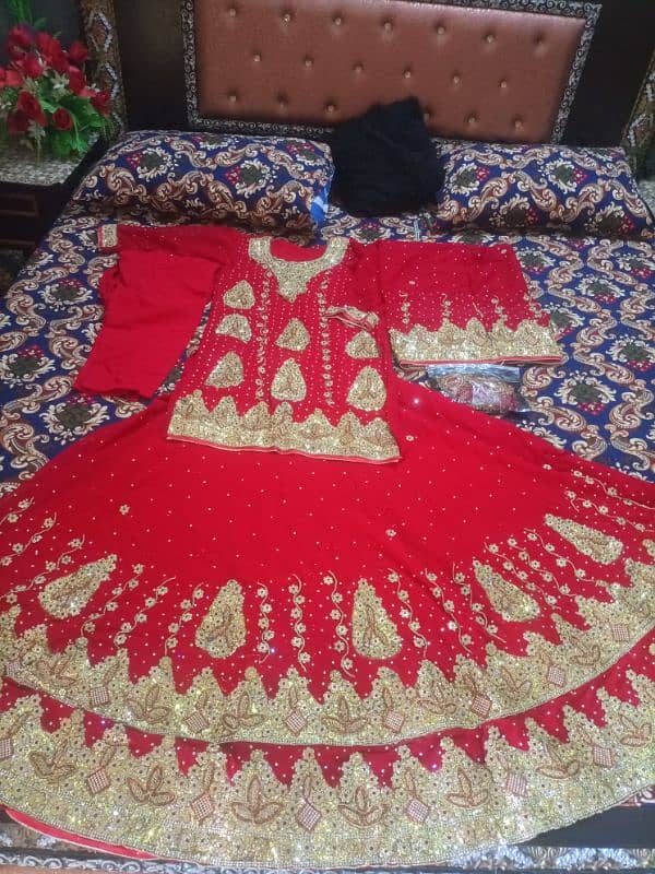 fresh red colour is braidell lehnga 2