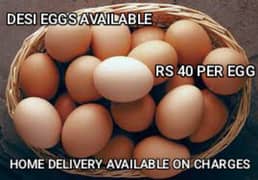 DESI EGGS AVAILABLE PER EGG COST:40