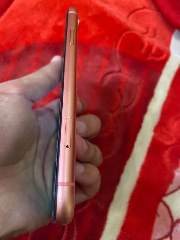 iPhone XR non pta 1