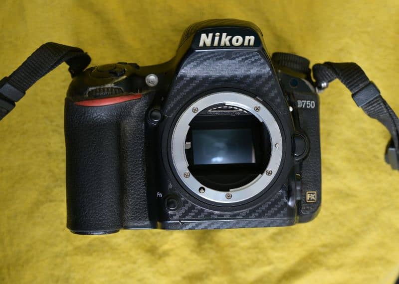 Nikon d750 2