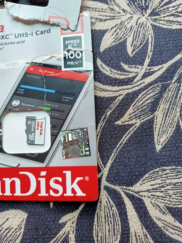 SanDisk Original  256GB 1