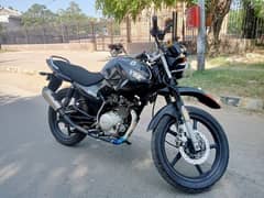 Yamaha YBR LUSH CONDITION 0