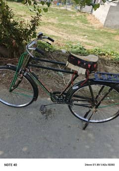 Sohrab cycle olx online