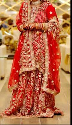 Bridal dress / sharara