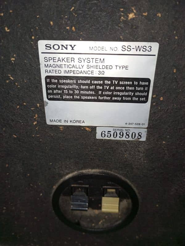 Sony Original Subwoofer passive 2