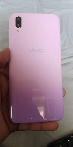 VIVO