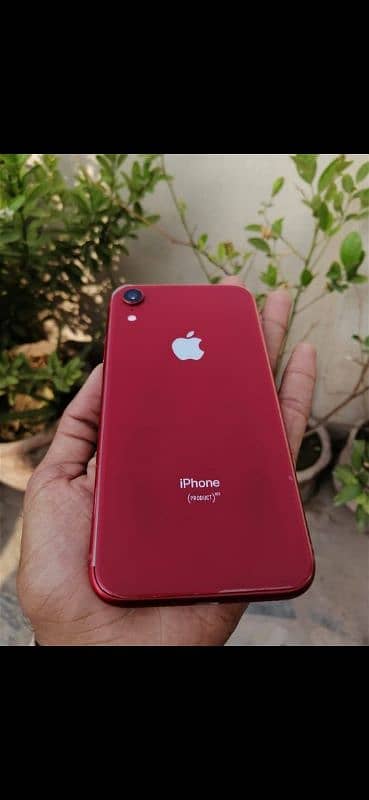 iphone XR 4