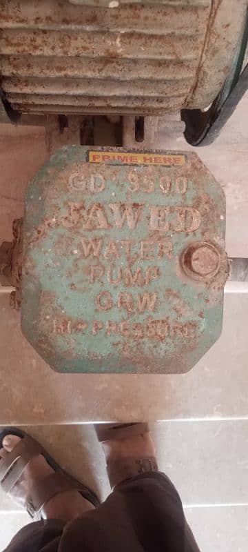 1/2 HP Donkey pump 3