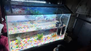 Fish Aquarium with Accessories