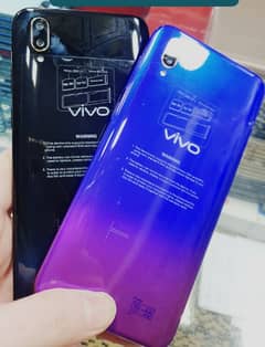 vivo