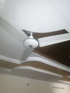 ceiling fan