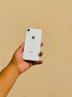 iPhone XR