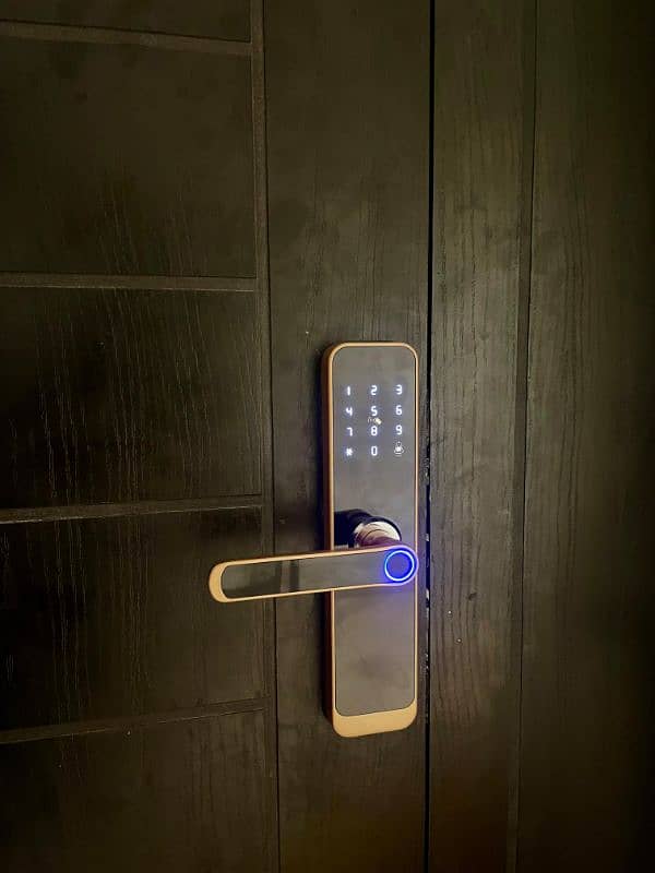 fingerprint password card WiFi tuya application smart handle door lock 1