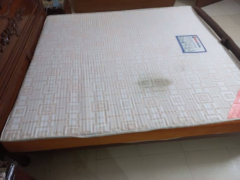 Molty Ortho mattress ( Extra Firm) 3