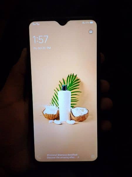 Vivo y 11 condition 10 by 10 ha 2