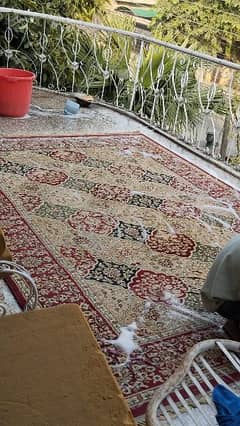 Mahroon Carpet