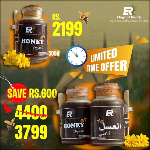 Premium Organic Honey 2