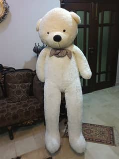 White teddy bear