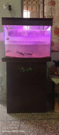 only aquarium with wooden stand and wooden cap with led light availabl