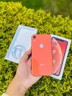 iPhone XR only 35 Times Charged