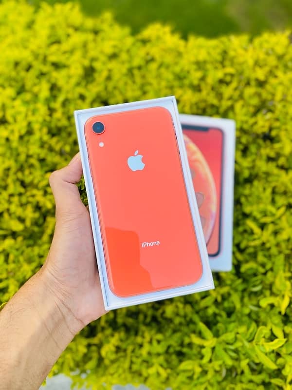 iPhone XR only 35 Times Charged 1