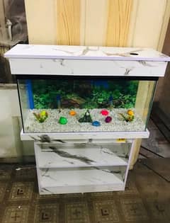 3fit brand new fish aquarium 0311/4440283