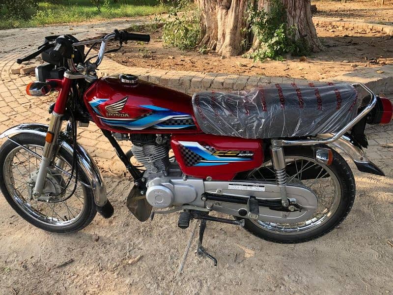 HONDA 125 2023/24 1