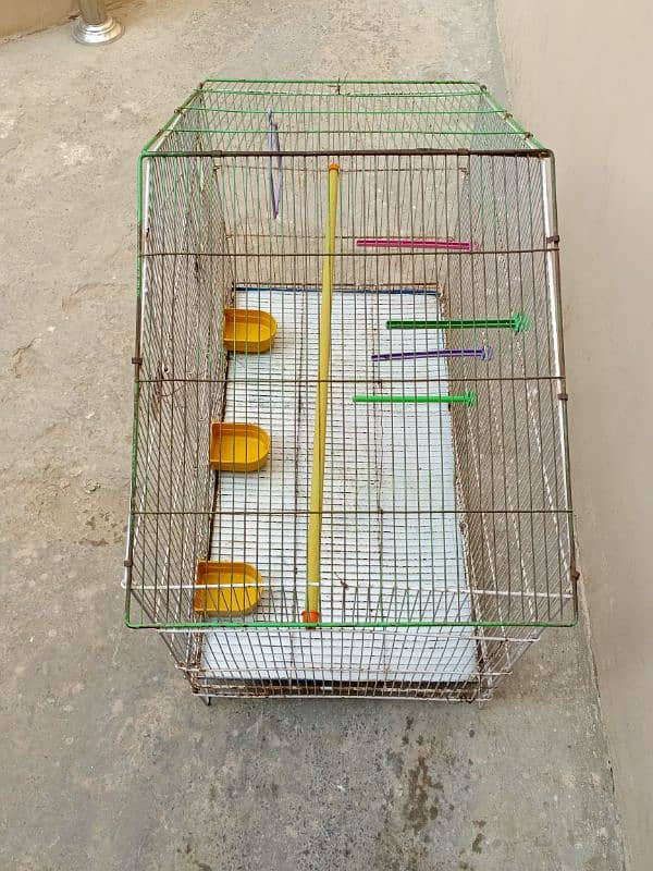 Parrots cage for sale 1