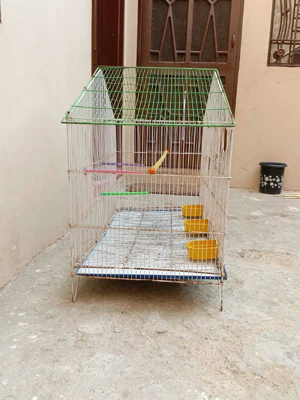 Parrots cage for sale 2