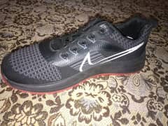 Nike pegasus sports shoes