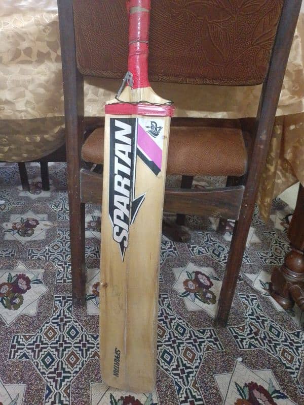 A1 Quality bat David Warner sign best for tape ball 0