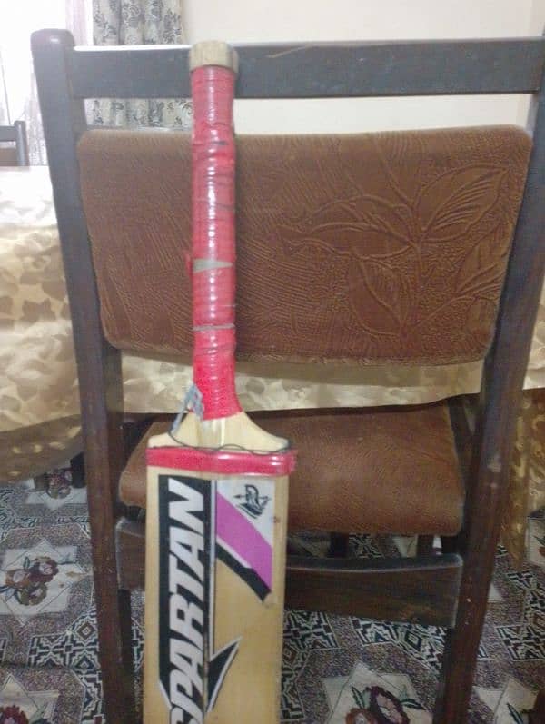 A1 Quality bat David Warner sign best for tape ball 1