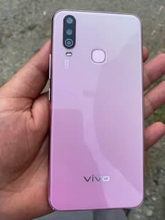 vivo