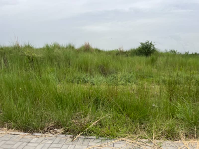 Plot for sale at DHA Emmar 3