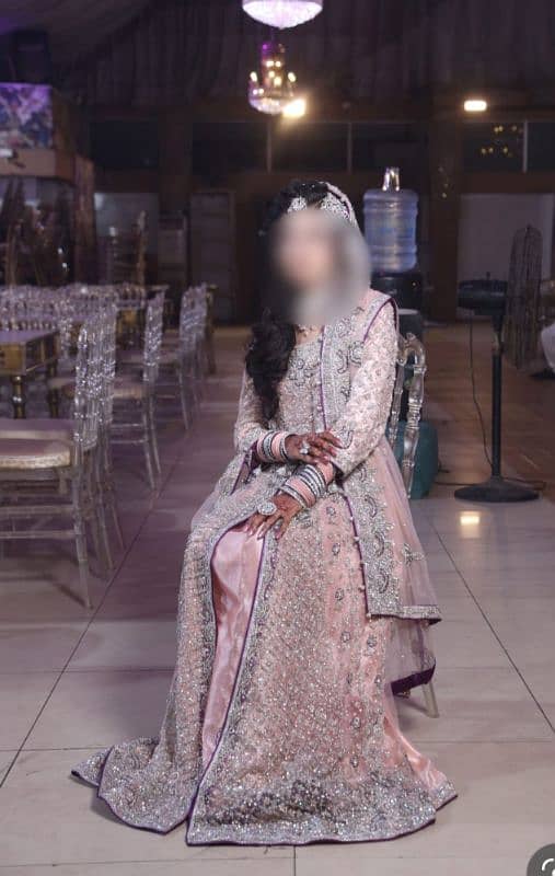 walima maxsi 1