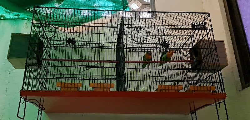 birds with cage 1