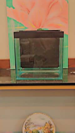 Affordable 1ft Glass Aquarium with Thermometer & Marble Gravel