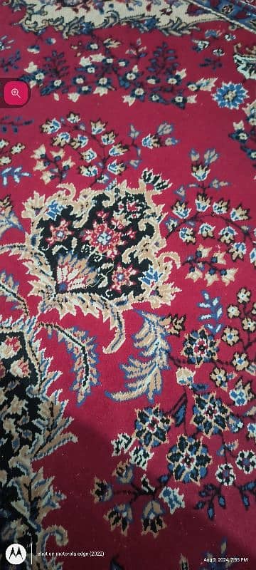 carpet in a good condition 1