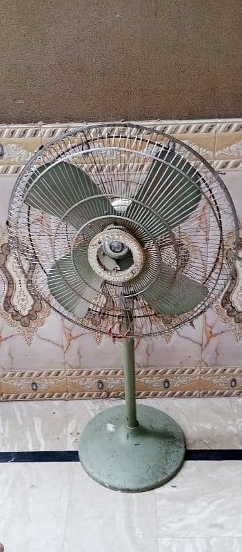 paidistal fan Rs8500.03145367422 2