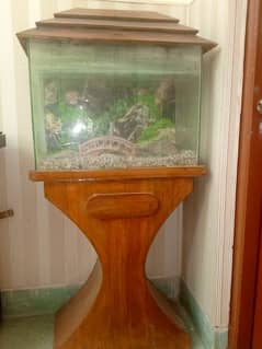 FISH AQUARIUM