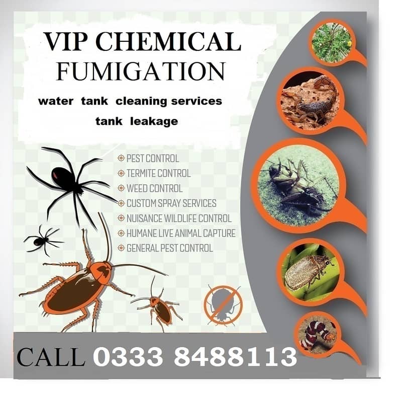 Bed Bugs | Termite | Cockroach | Pest Control | Fumigation /Service 3